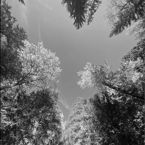 Meet your Posher, K’s